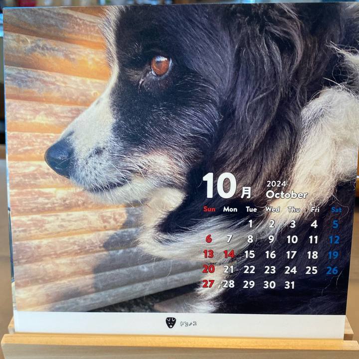 8fcfa8a6 95ea 4fd7 a5fb 3117d3839347 1727730964669