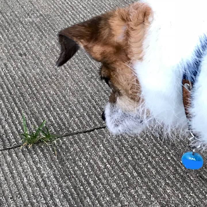 8fcfadab 68fe 4ce5 beda 75c3fdaeb283 1534464626620