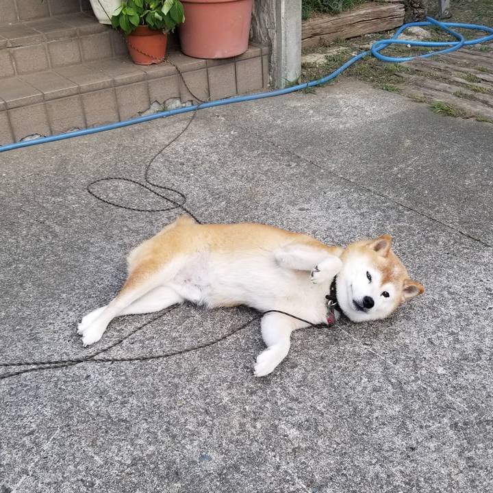 8fcfd8c3 20e6 414a aadb 73892bb544bd 1694591003544