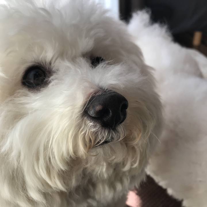 8fcfe349 89f8 4ea5 8a2b 244549854810 1551066055678