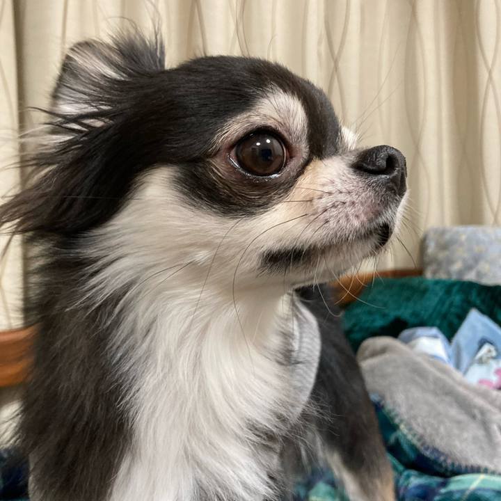 8fcfe375 d6f2 4a8d 805d 6d68897fdee5 1641738262937