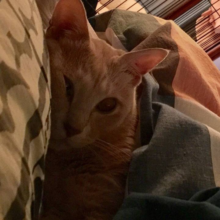 8fd01068 ab64 40a3 806f 1272fe94d971 1570656536173