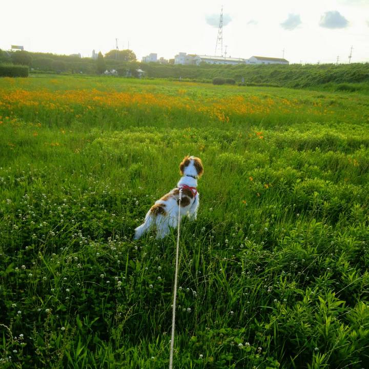 8fd03092 4ba9 41dc 9525 290eff7946f8 1530186039943