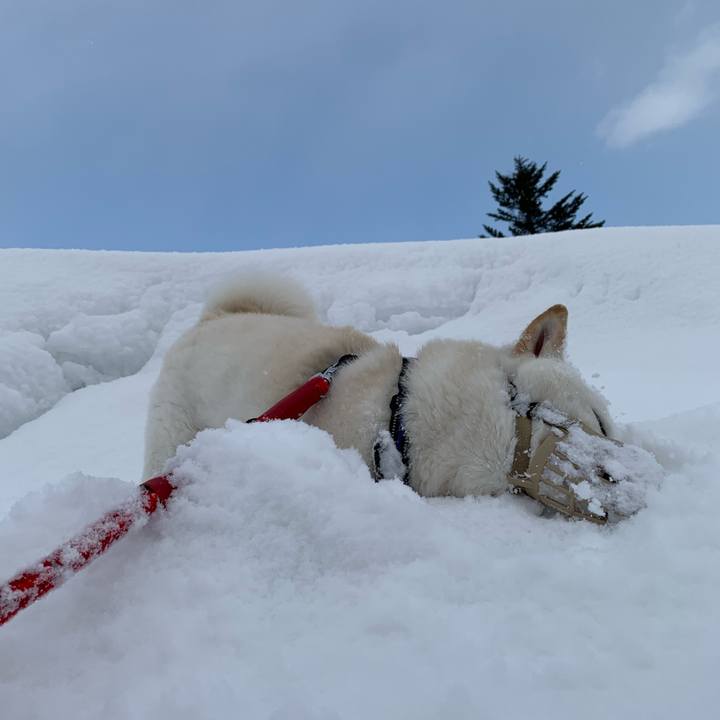 8fd05b7e 4bbf 45bb 9730 9e66d00aa0a1 1644718910240