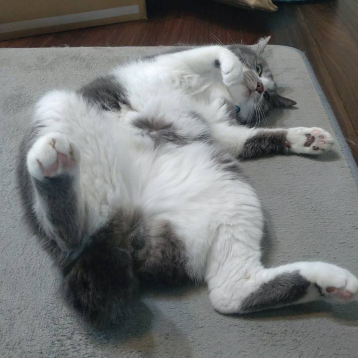 8fd0609f 85dc 454f 8152 104f64349b0a 1780965367610