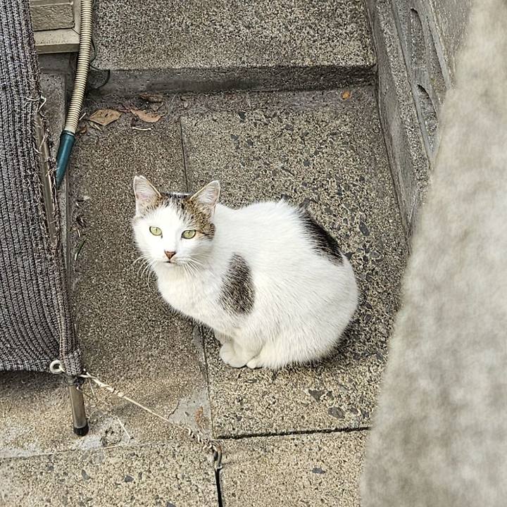 8fd08dbd 0c42 4dae 958d d7feb5fa9580 1738398501689