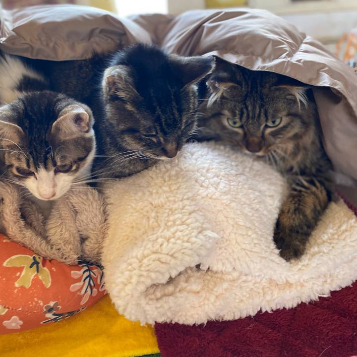 8fd0a202 0c62 457f 9690 b9549597e9a6 1704867849472