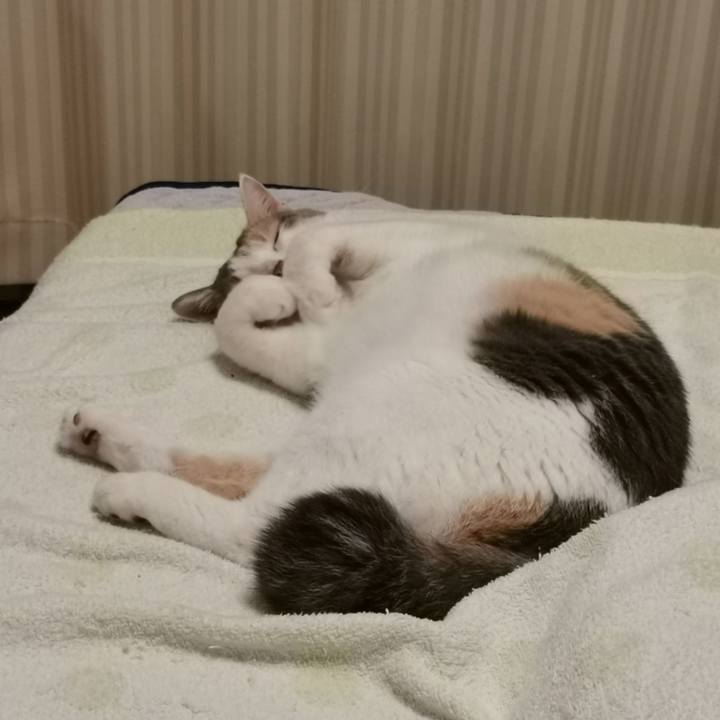 8fd0c682 120f 4f2f 80b1 215667f19dd5 1657511734267