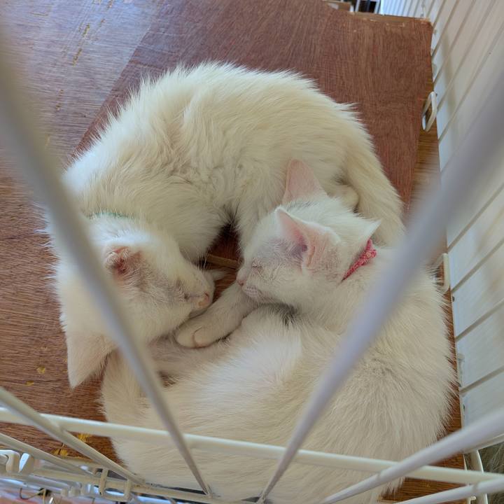 8fd1035d 45e3 49e6 847f b3d660ec06e7 1783752371069