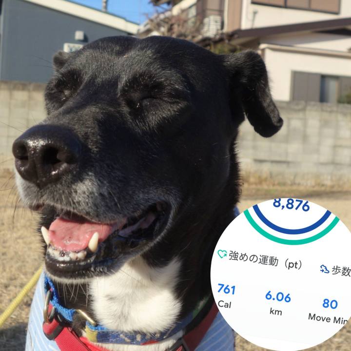 8fd13e72 87a7 4ace 987d 7e76d65dc4ea 1673398549921