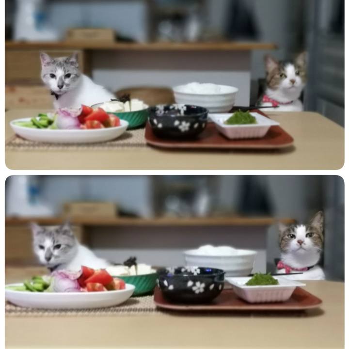 8fd18c37 a086 4c88 9c49 e3c90f603e82 1531350167049