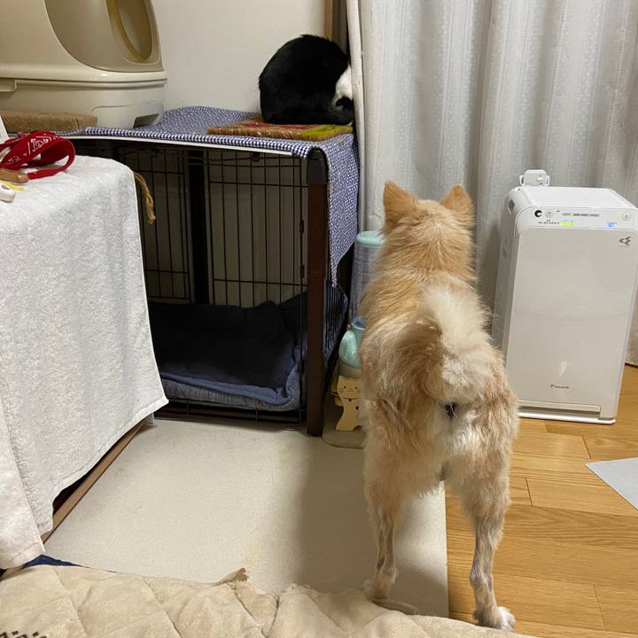 8fd1a4c8 29ee 4cea 8bd9 e5bfe5a250ba 1650667848667