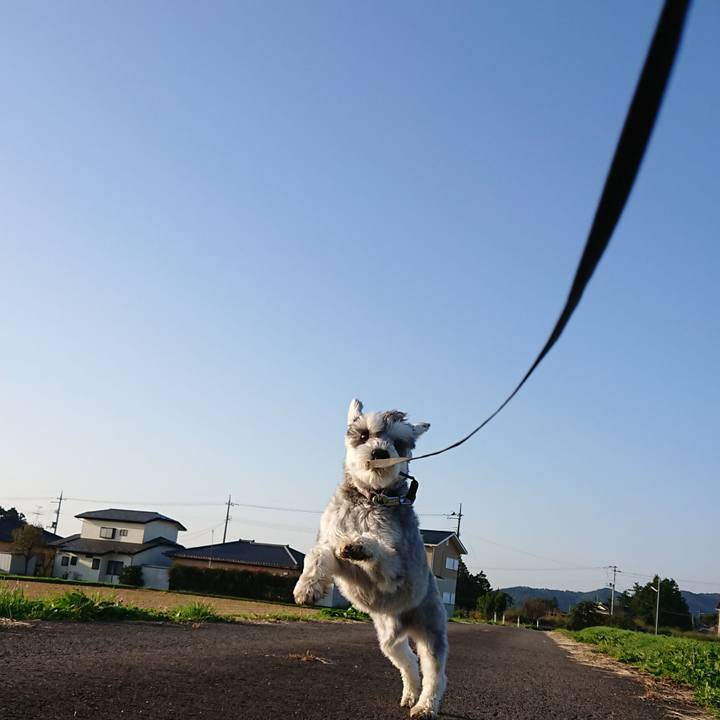 8fd1a6b4 d56a 426f 8cd5 786b9ab30006 1633301856598