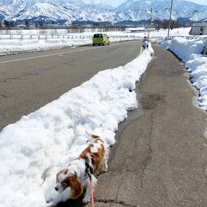 8fd1b9a0 961f 4509 a8e5 ba4dc28529f3 1613189822848