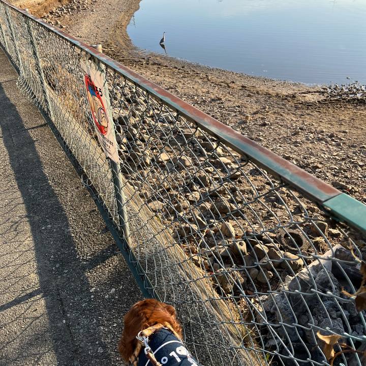 8fd1d4b9 4280 4f48 bdc2 35d55203e03f 1736034968938