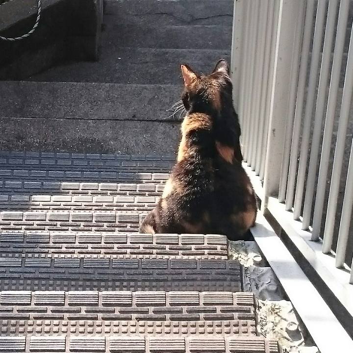 8fd1ecb1 c162 4c31 a26f 4f986d303cf0 1525990264488