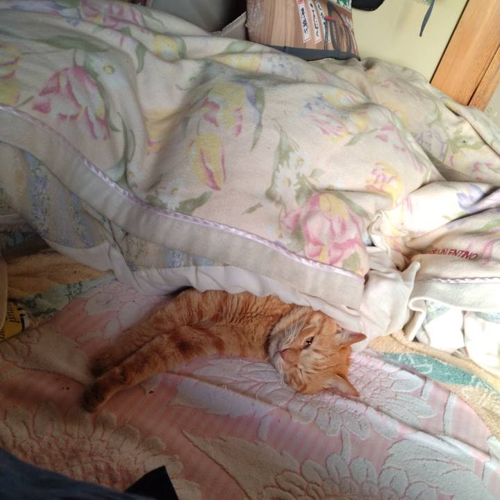 8fd21a6b 84c1 4486 9da9 4ba3e8dfb45d 1683845425178