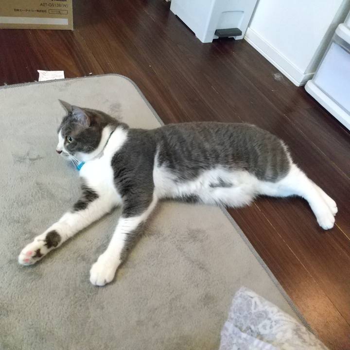 8fd22b04 0a18 4cf3 8e3f da64a1fc26f2 1649281819222