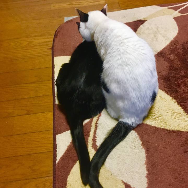 8fd243ce 081e 406a bcf3 e65fd5a7ec5c 1512864925717