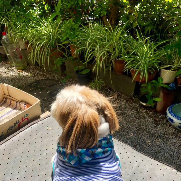 8fd2465e 70b6 4f2a 9a6e 8642bbca005b 1560643007191