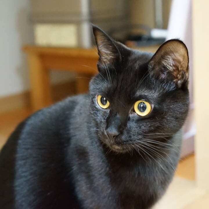 8fd25617 2f59 4aa7 a6af 95a921d16337 1547542529466