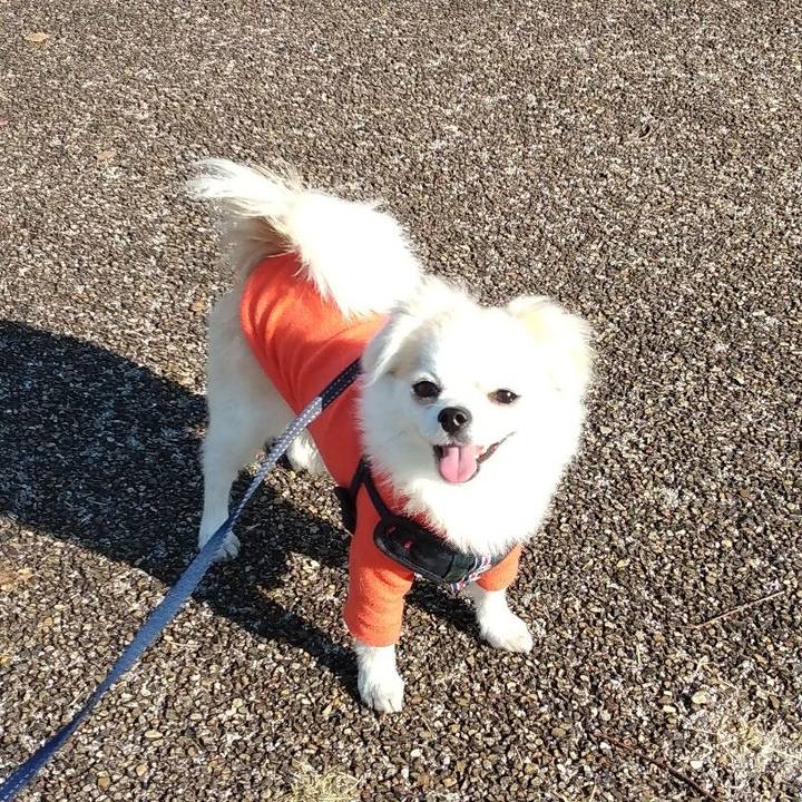 8fd25d5f 42e5 4f6e 8663 87d5b0893e5e 1670758962132