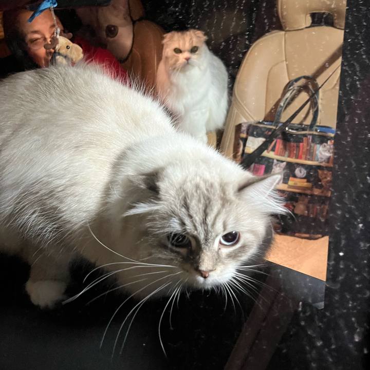 8fd2b833 03a5 44da 88d6 3ff4c21a6d97 1702434145407