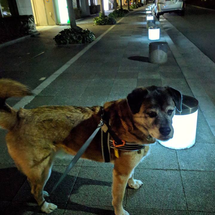 8fd2bcf8 904f 4d23 961f f954445fccb0 1550140843720