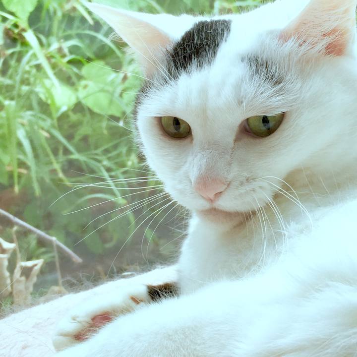 8fd2da9e feb7 405b b130 455c760a08f0 1562472787742