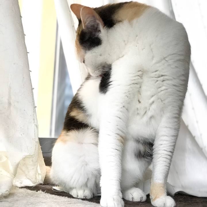 8fd2fa61 432f 4f51 9154 889a992184c4 1528339741860