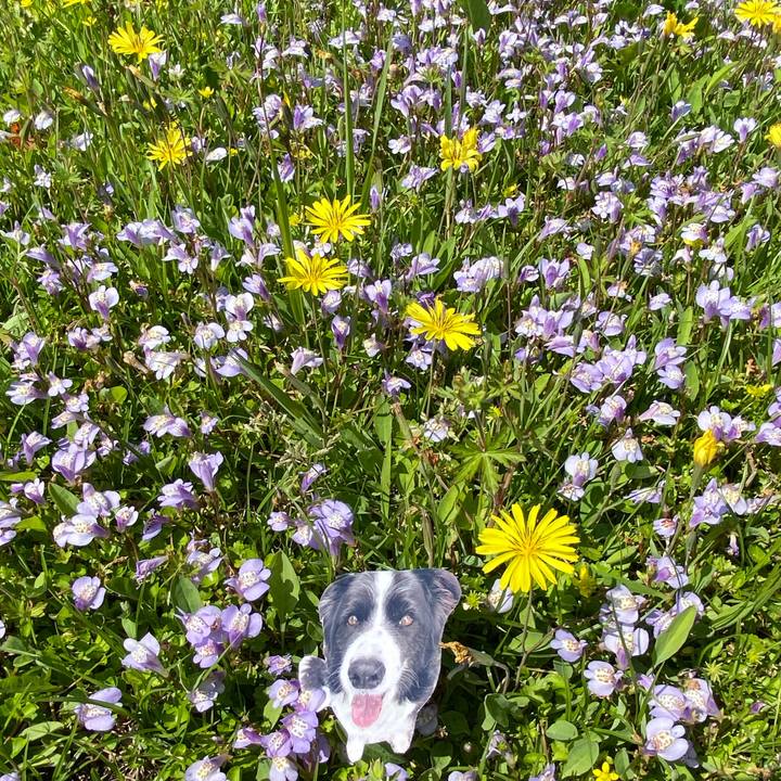 8fd3090d e040 47f2 bdc8 8fe7030b24e2 1745719438314