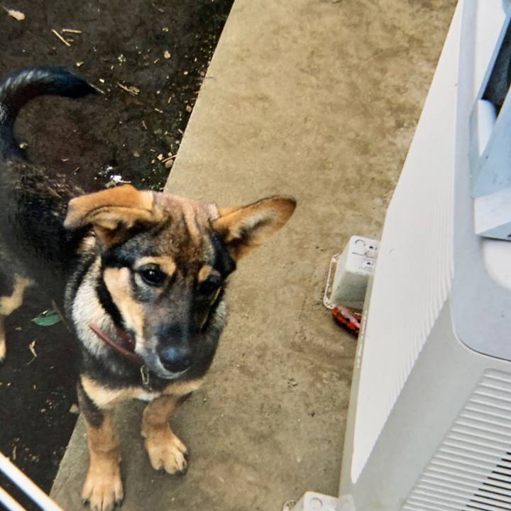 8fd340da c580 41aa b3db 22384b2423c2 1571644031194