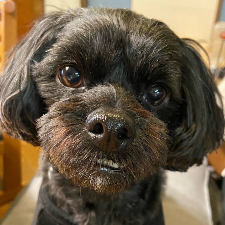 8fd3654f d8f2 4169 b8bf 55ab944b157f 1638781187145