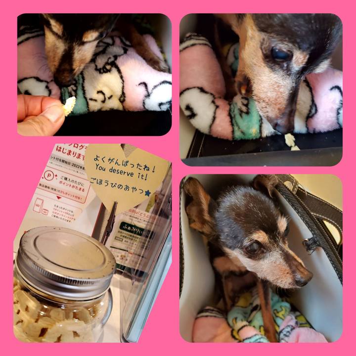 8fd36d76 c734 4cb1 88a3 b31d2c7cc2c7 1708783752034