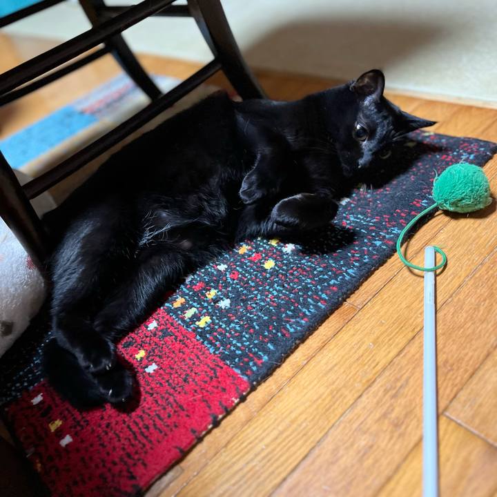 8fd392b3 65aa 4d89 8a7d 17fdc715b794 1688386607464