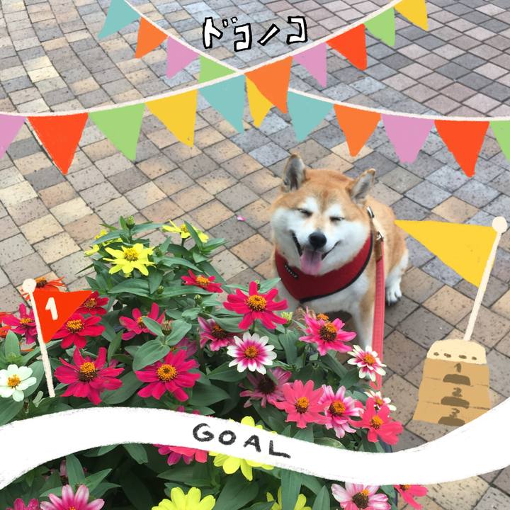 8fd3dd7a 7381 4465 9676 7285a0995350 1729048199673