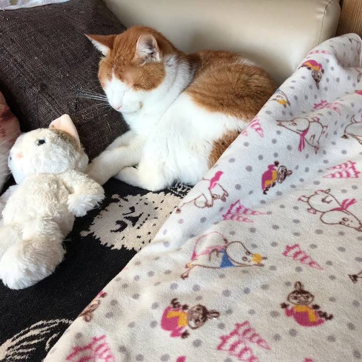 8fd3e340 eafc 4ba3 b424 70db87ab268b 1626301209345