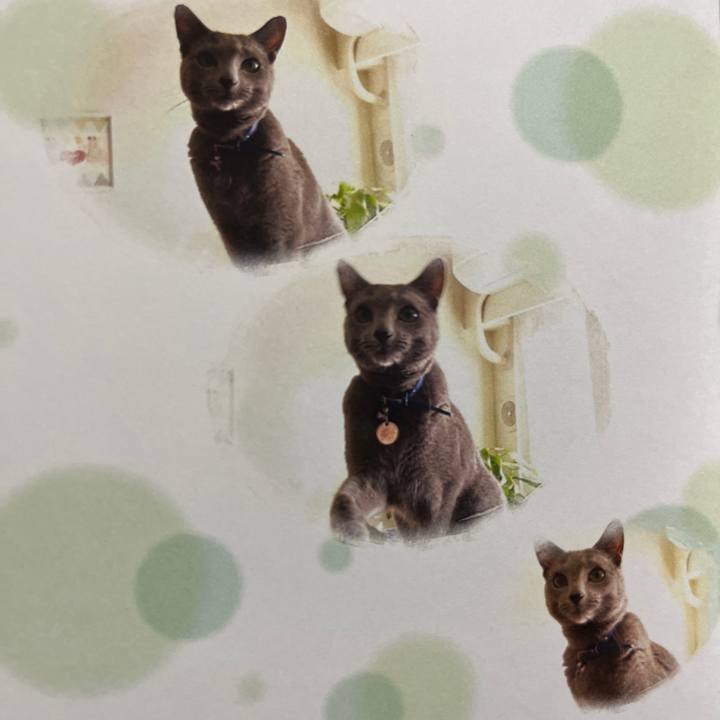 8fd3e4d7 8a09 4404 9da1 d227f95e3318 1729769017962