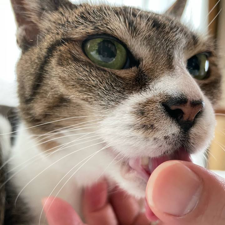 8fd41e2f bd47 433a b4f5 a2dc5765ed6c 1661123911389