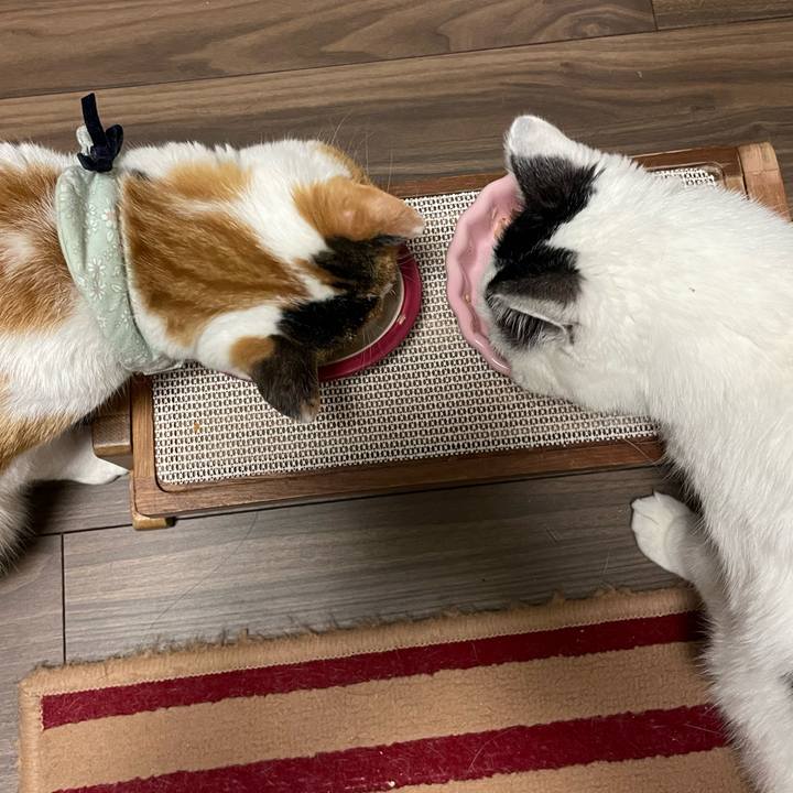 8fd42f72 b4e1 488e 8a95 a6a08846324a 1677069718369