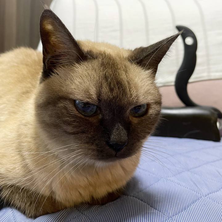 8fd437e2 bb77 423b b981 559772cdd325 1759320709668