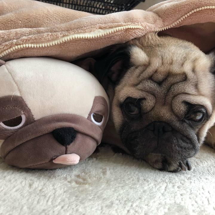 8fd46ac0 c17a 4da6 b72d dba4bf5e5223 1524020426953