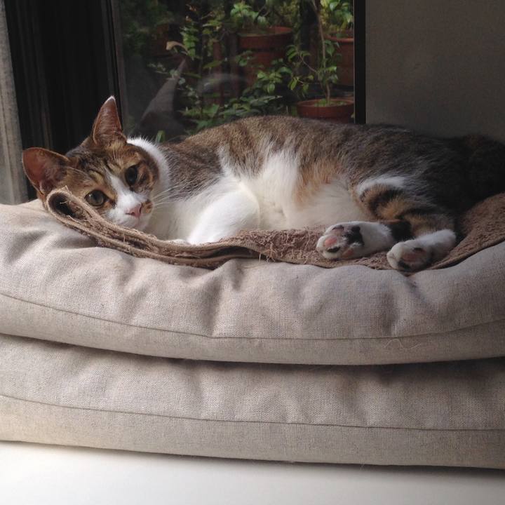 8fd49c3c 8610 411d b34f 50e85ff58f40 1552625404350