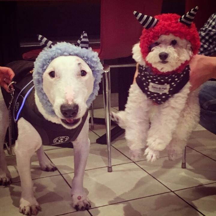 8fd4deb6 8695 4b33 a729 4f7fe8a45c41 1517840403497