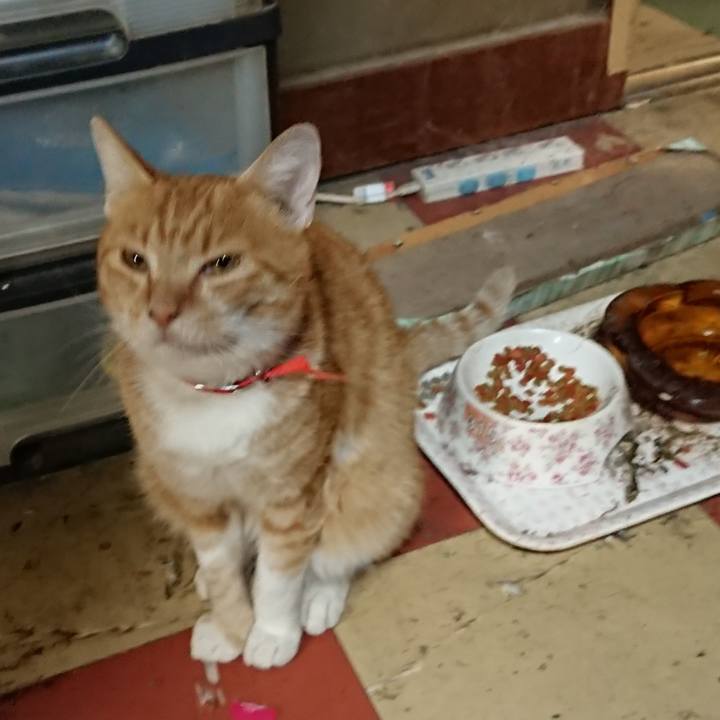 8fd508b7 a0d6 4a7e b77f 63aedd9a6b13 1568890685190