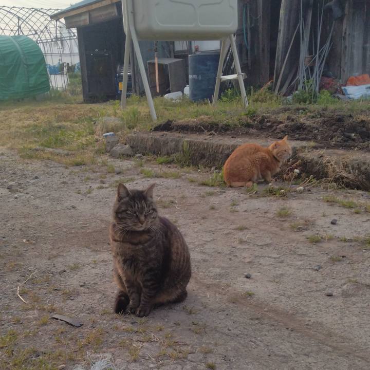 8fd543ec d168 4c94 9a83 b098af1fe47b 1683928051293