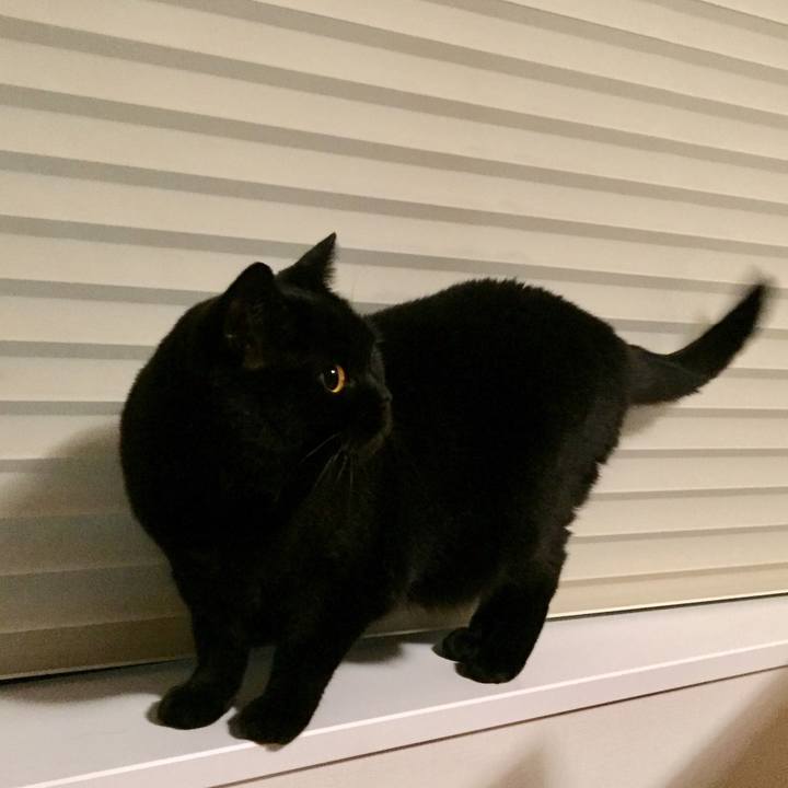 8fd56b42 57f9 48b6 bb87 da22ddc36651 1563111971208