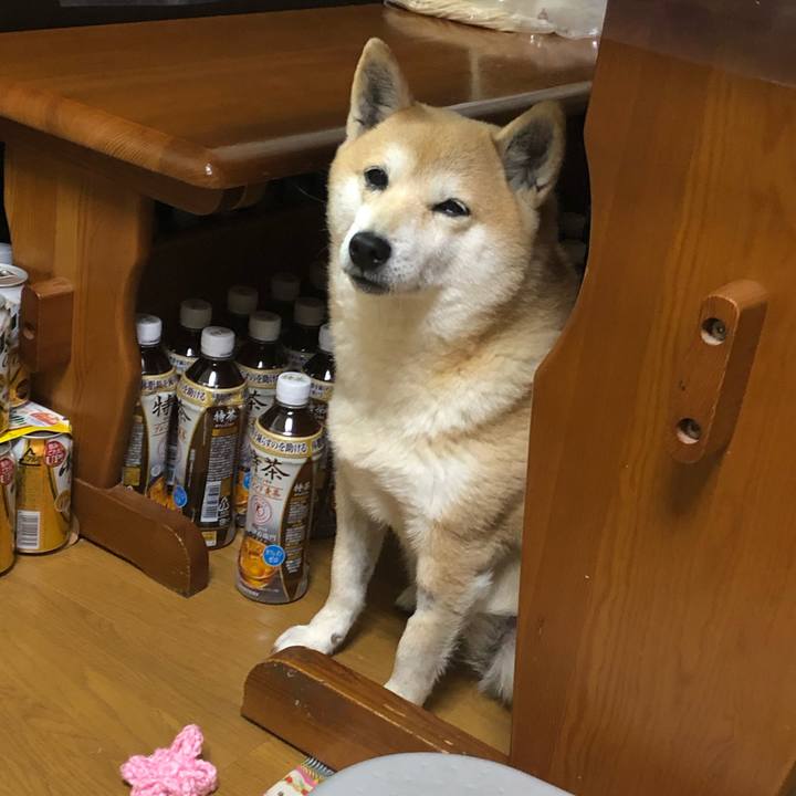 8fd58305 1b55 44b3 84f0 aabb08e5e295 1548849557343