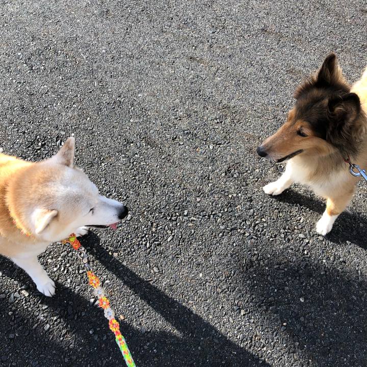 8fd5a4a8 683f 4700 ac90 dff36769604b 1600141502534