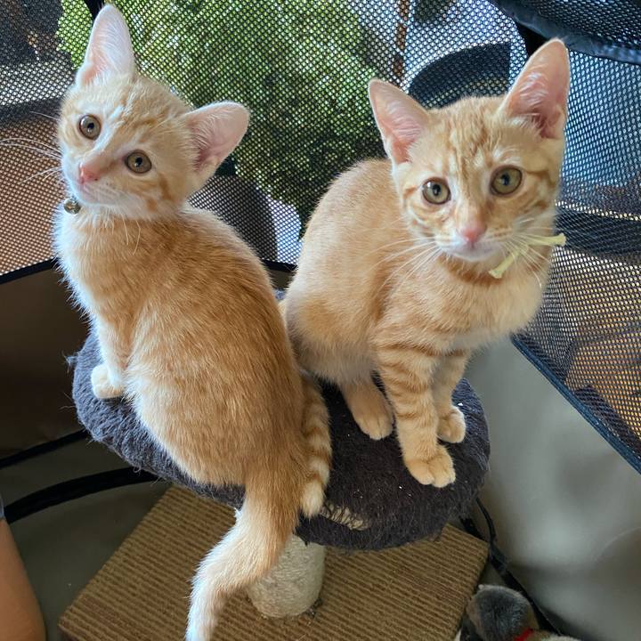 8fd5ecbd e458 4faf 8fee 78aa25aea30b 1657353832995